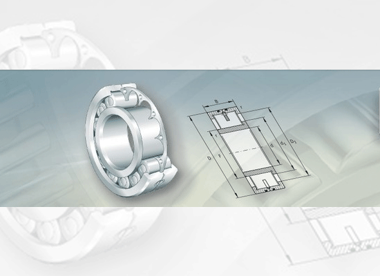 Low-Friction Cylindrical Roller Bearings
