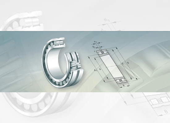 High Precision Cylindrical Roller Bearings